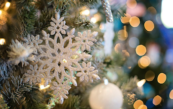 Spread Cheer with Proper Holiday Tipping: Tips and Tricks